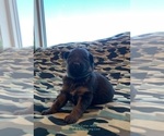 Small #27 Breeder Profile image