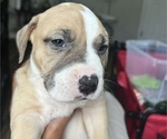 Small #3 Breeder Profile image