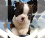 Small #9 Breeder Profile image