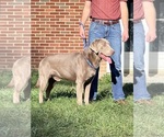 Small #7 Breeder Profile image
