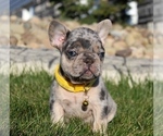 Small #4 Breeder Profile image