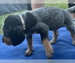 Small #3 Breeder Profile image