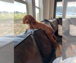 Small #16 Breeder Profile image