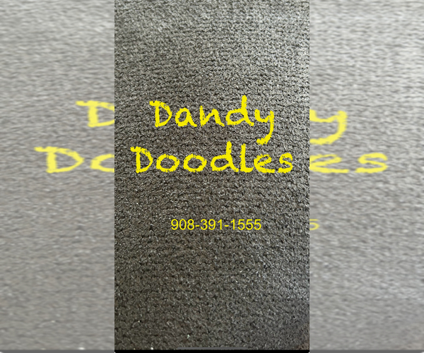 Medium Photo #1  Breeder Profile in MILFORD, NJ, USA