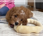 Small #4 Breeder Profile image