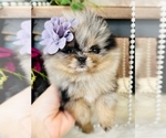 Small #8 Breeder Profile image