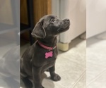 Small #14 Breeder Profile image