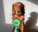Small #5 Breeder Profile image