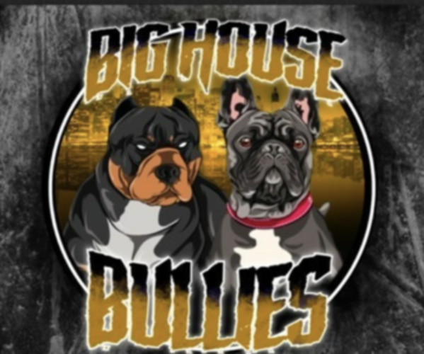 Medium Photo #1  Breeder Profile in CHANDLER, AZ, USA