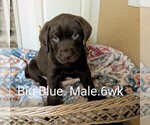Small #5 Breeder Profile image