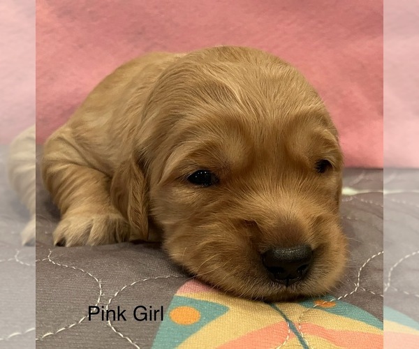 Medium Photo #15  Breeder Profile in IDAHO FALLS, ID, USA