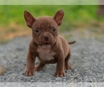 Small #5 Breeder Profile image