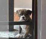Small #44 Breeder Profile image