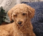 Small #34 Breeder Profile image