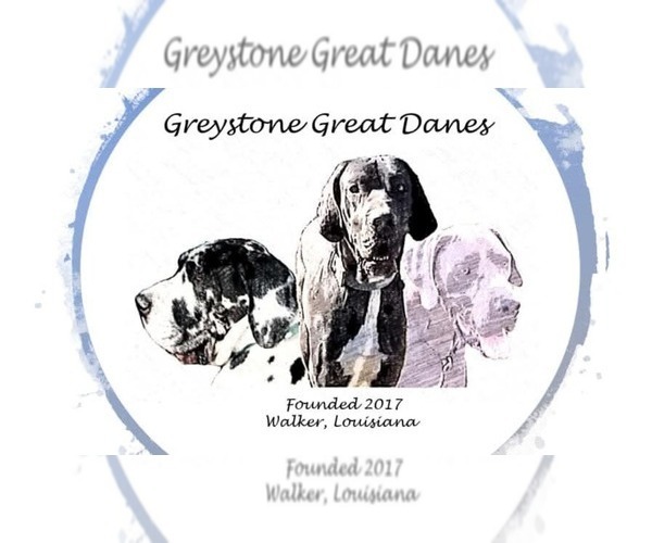 Medium Photo #1  Breeder Profile in DENHAM SPRINGS, LA, USA