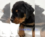 Small #7 Breeder Profile image