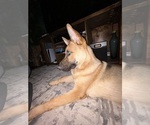 Small #12 Breeder Profile image