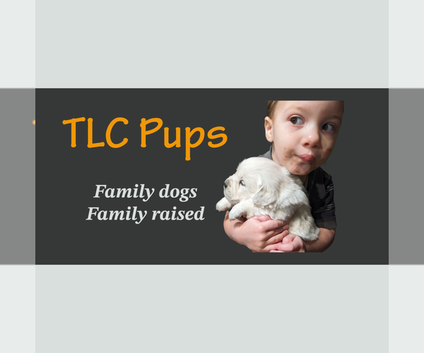 Medium Photo #1  Breeder Profile in WOOSTER, OH, USA