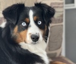 Small #14 Breeder Profile image