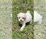 Small #18 Breeder Profile image