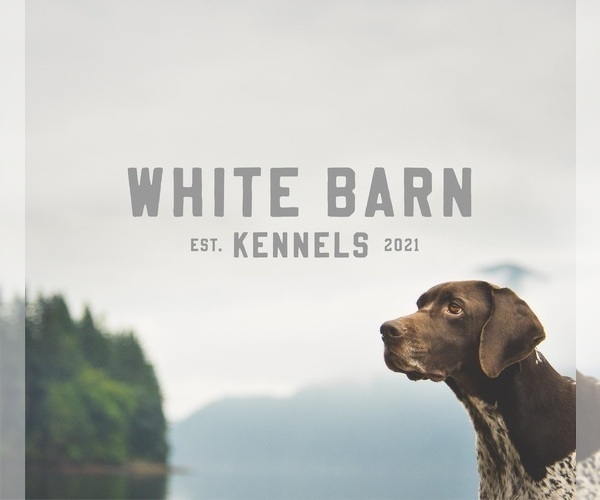 Medium Photo #1  Breeder Profile in LIBERTY, NC, USA