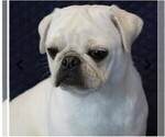 Small #1 Breeder Profile image