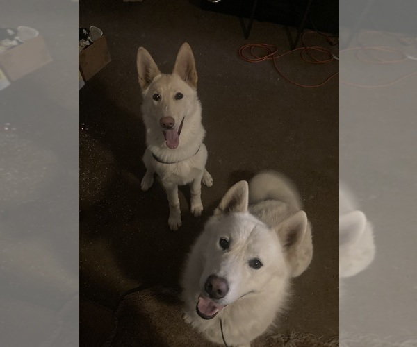 Medium Photo #4  Breeder Profile in MAD RIVER, CA, USA