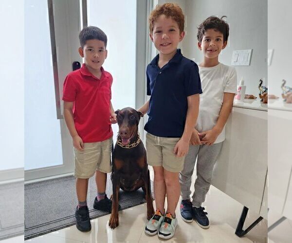 Medium Photo #27  Breeder Profile in FORT LAUDERDALE, FL, USA