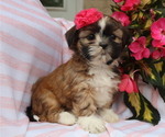 Small #36 Breeder Profile image