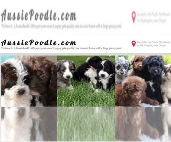 Medium Photo #1  Breeder Profile in KENNEWICK, WA, USA
