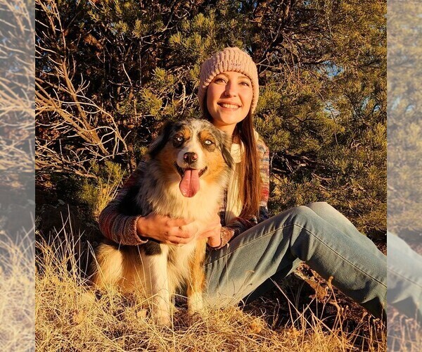 Medium Photo #1  Breeder Profile in GILBERT, AZ, USA