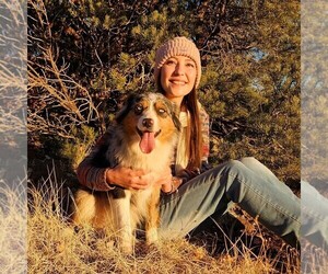 Medium Breeder Profile Photo