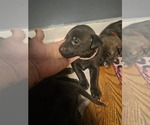 Small #5 Breeder Profile image