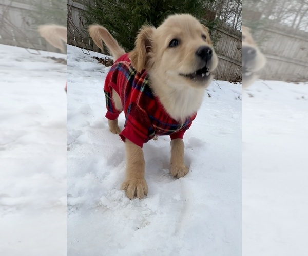 Medium Photo #9  Breeder Profile in MADISON, NC, USA