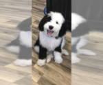 Small #1 Breeder Profile image