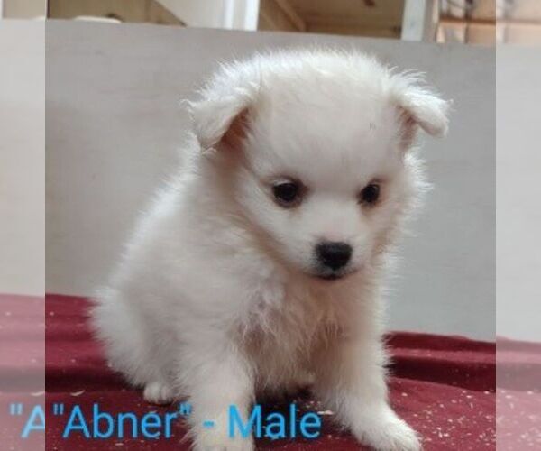 Medium Photo #1  Breeder Profile in MINNEAPOLIS, MN, USA