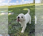 Small #8 Breeder Profile image