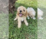 Small #2 Breeder Profile image