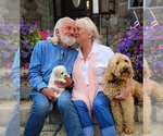 Small #10 Breeder Profile image