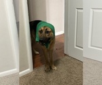 Small #2 Breeder Profile image