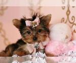Small #3 Breeder Profile image
