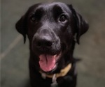 Small #5 Breeder Profile image