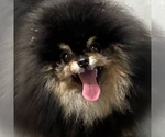 Small #28 Breeder Profile image