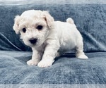 Small #3 Breeder Profile image