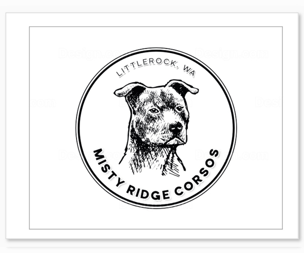 Medium Photo #1  Breeder Profile in OLYMPIA, WA, USA