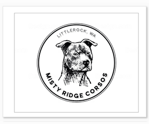 American Staffordshire Terrier-Cane Corso Mix Dog Breeder near OLYMPIA, WA, USA