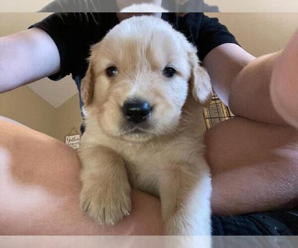 Medium Photo #1  Breeder Profile in CHICKAMAUGA, GA, USA