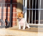 Small #28 Breeder Profile image
