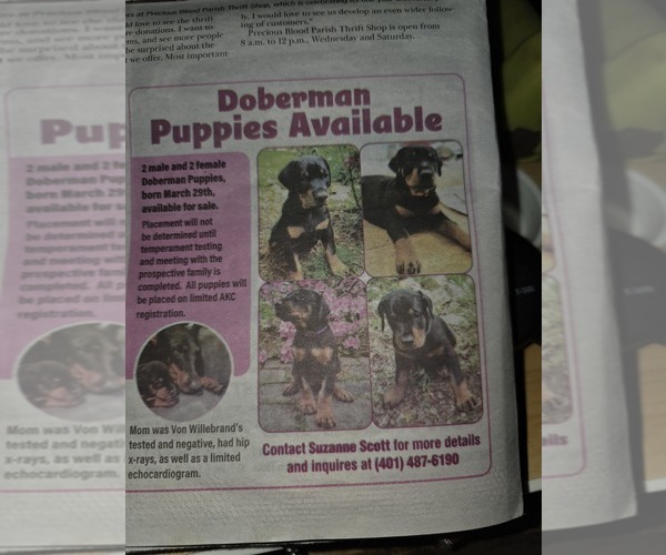 Medium Photo #11  Breeder Profile in NORTH SMITHFIELD, RI, USA