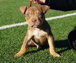 Small #9 Breeder Profile image